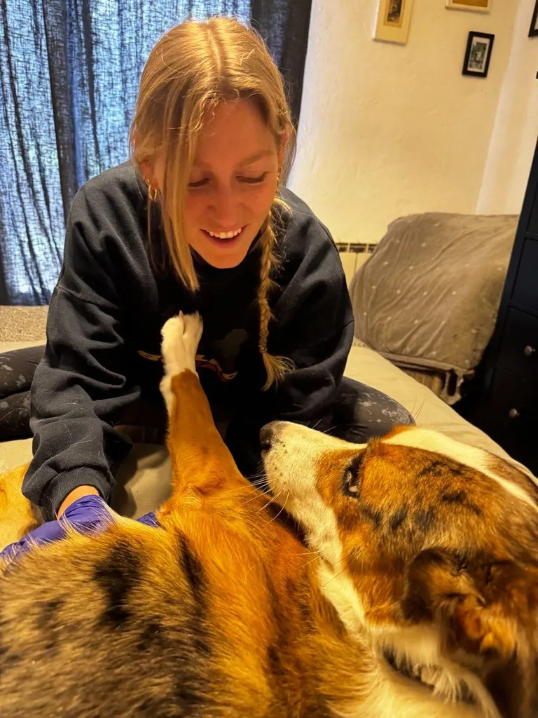 Chien suivi en ostéopathie animale par Iris en Hérault