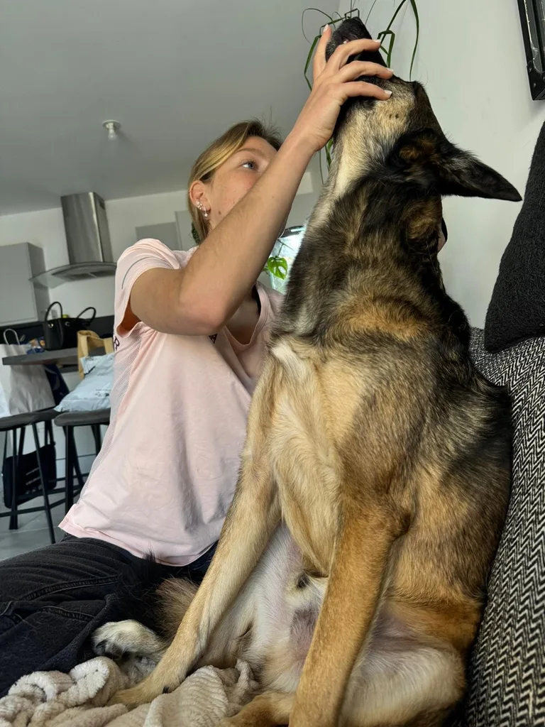 Chien suivi en ostéopathie animale par Iris en Hérault