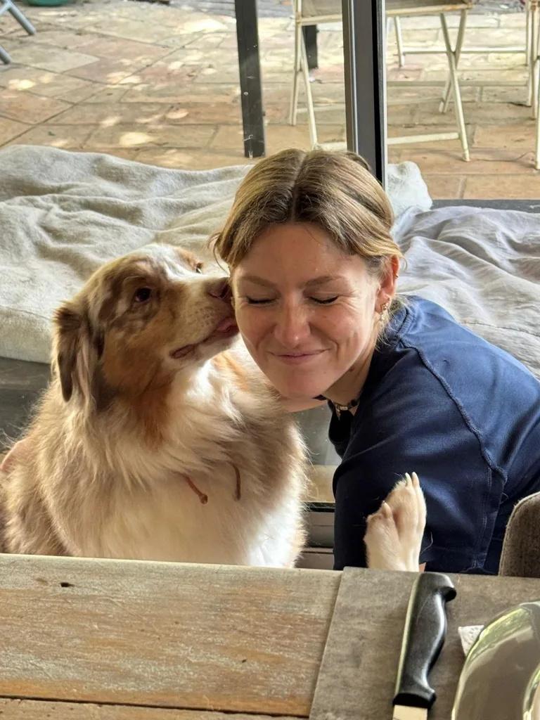Chien suivi en ostéopathie animale par Iris en Hérault