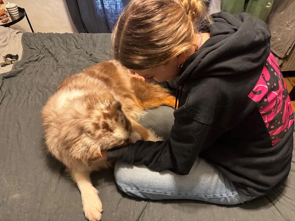 Séance d'ostéopathie animale avec Iris – chat en cours de manipulation