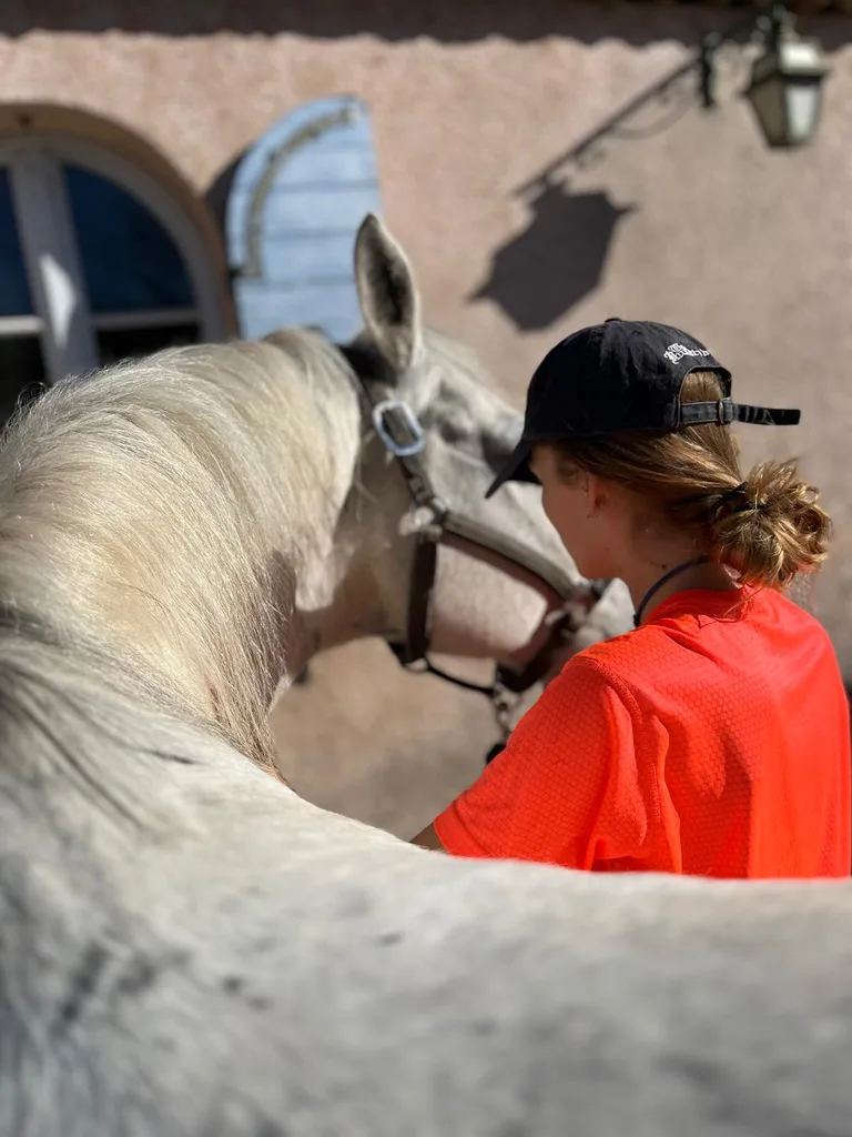 Séance d'ostéopathie animale avec Iris – cheval en cours de manipulation