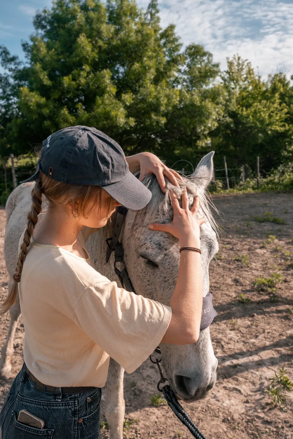 Soin ostéopathique pour cheval