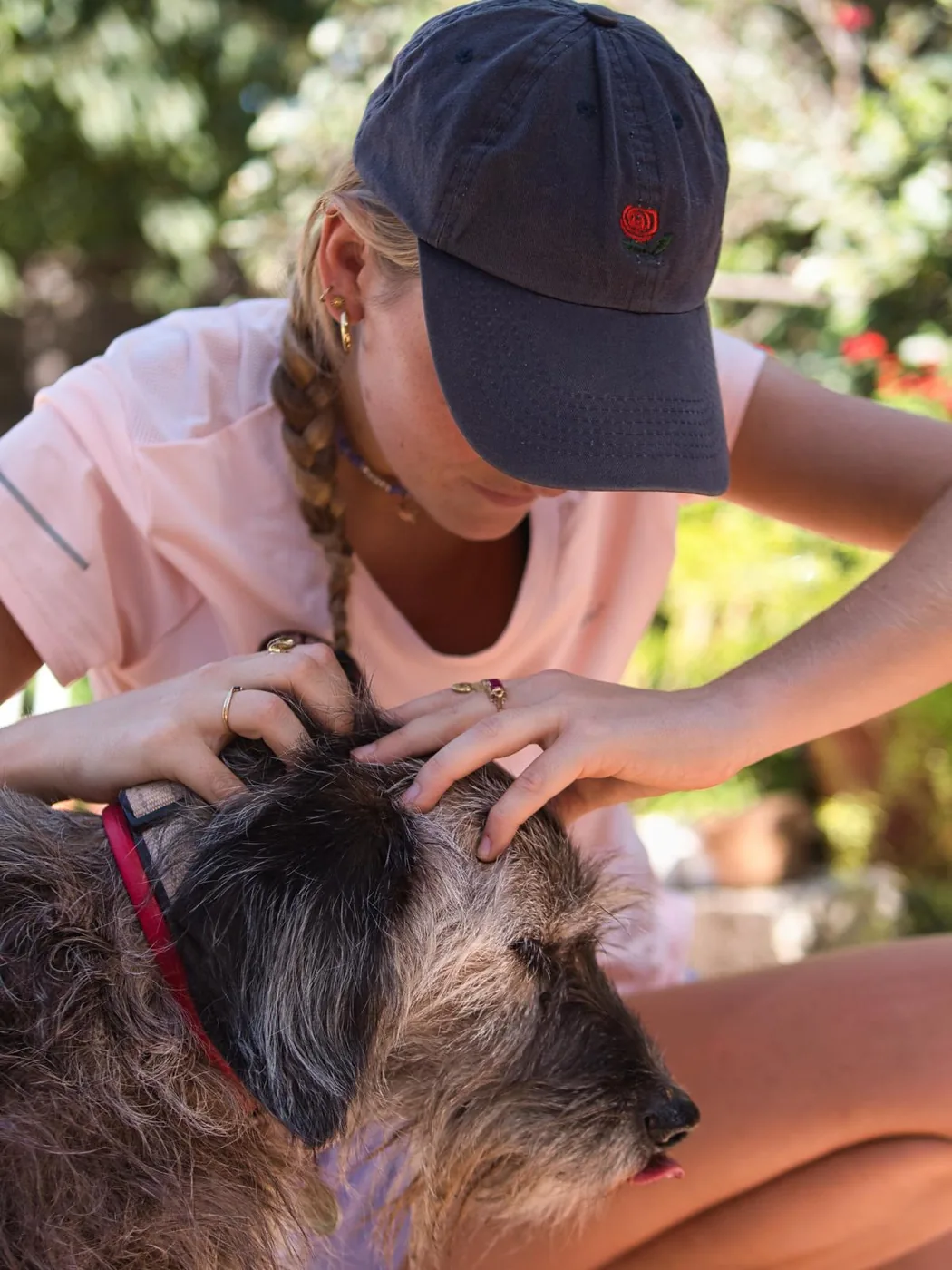 Chien lors d'une séance