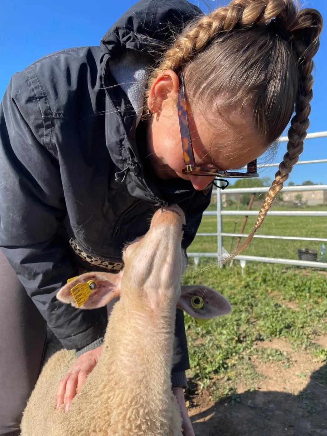Soin ostéopathique pour animaux de la ferme