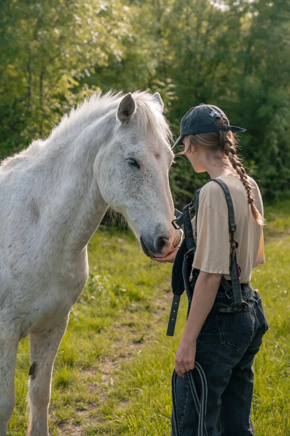 Soin ostéopathique pour cheval